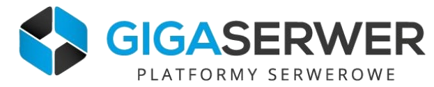 Gigaserwer — platformy serwerowe